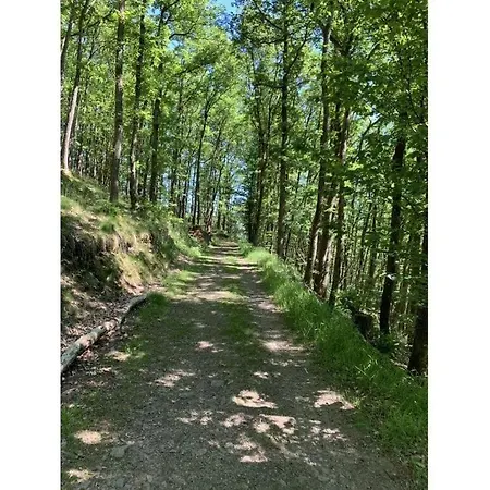 Chalet St Lambertus A Lambertsberg