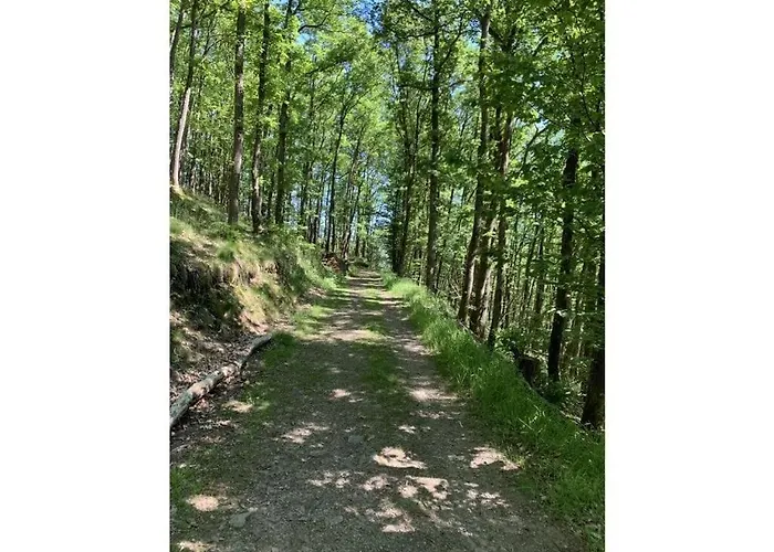 בקתה St Lambertus A Lambertsberg